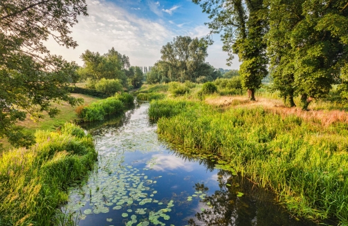 Suffolk Team Building'